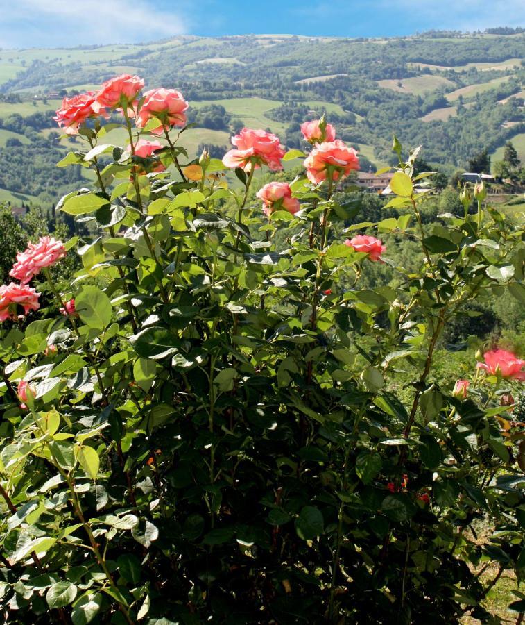 Country House Ca' Vernaccia Guest House Urbino Exterior foto