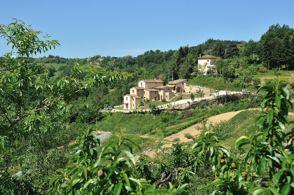 Country House Ca' Vernaccia Guest House Urbino Exterior foto