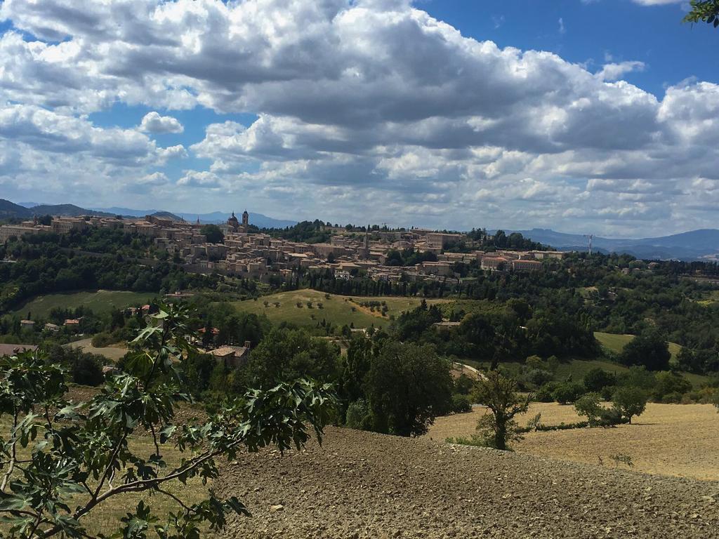 Country House Ca' Vernaccia Guest House Urbino Exterior foto